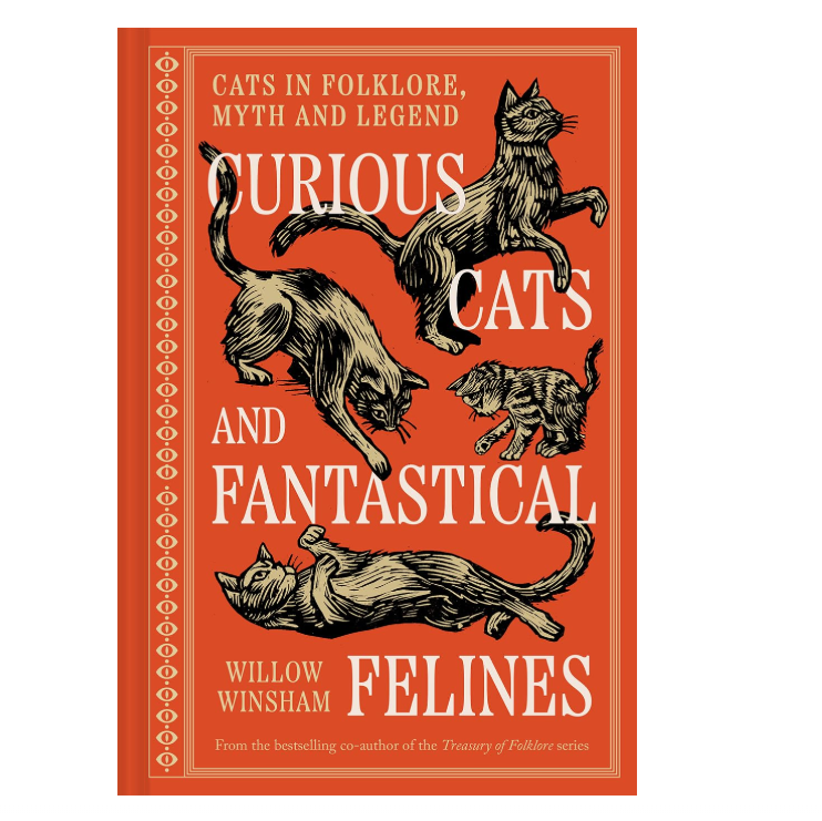 Curious Cats and Fantastical Felines