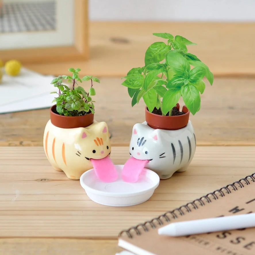 Peropon Tabby Cat Plant Growing Kit (2 Asstd Designs)