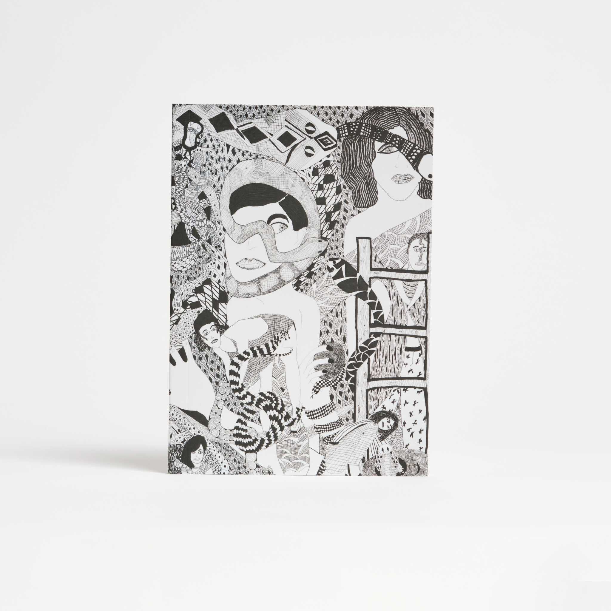 Snakes & Ladies A5 Softcover Notebook
