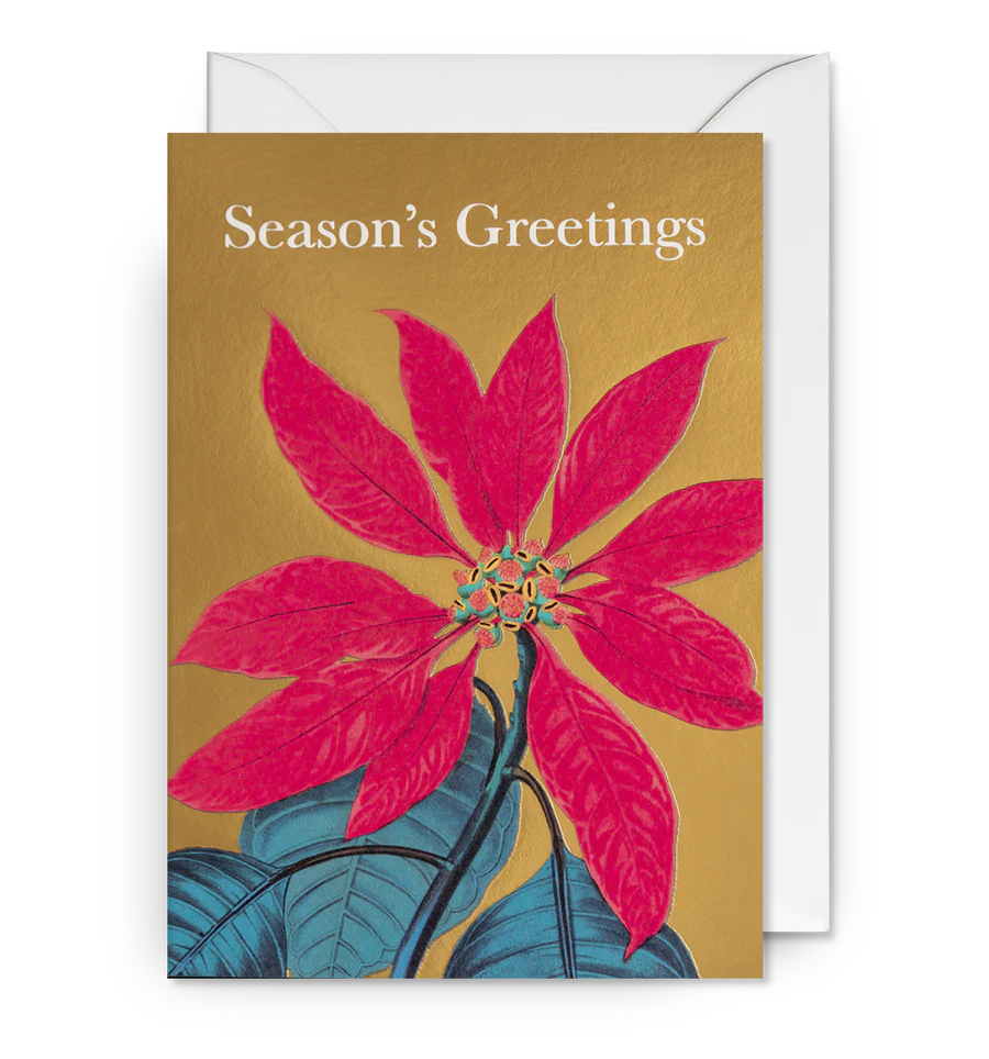 Poinsettia Gold Season's Greetings Cards (Pack of 5)