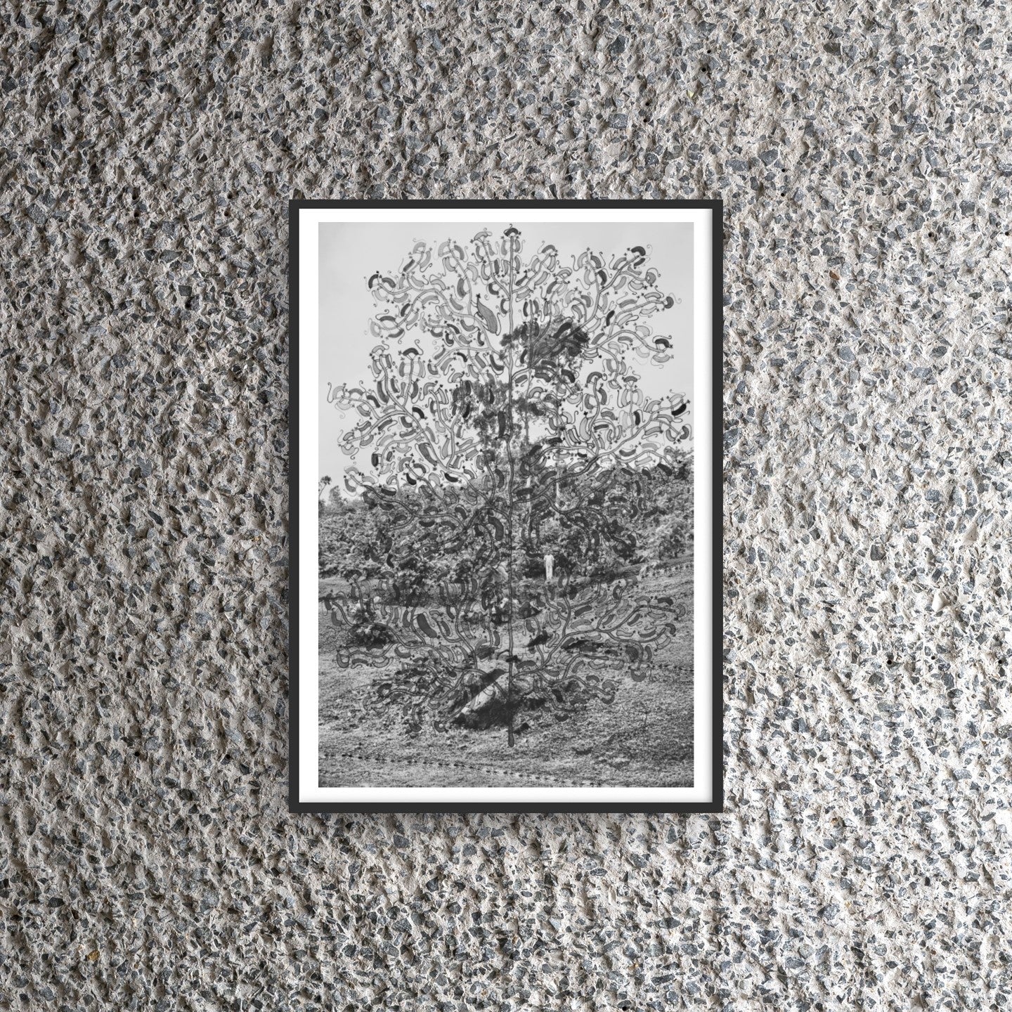 Gauri Gill A3 Print, Tree of Monkey Ancestors, 2015