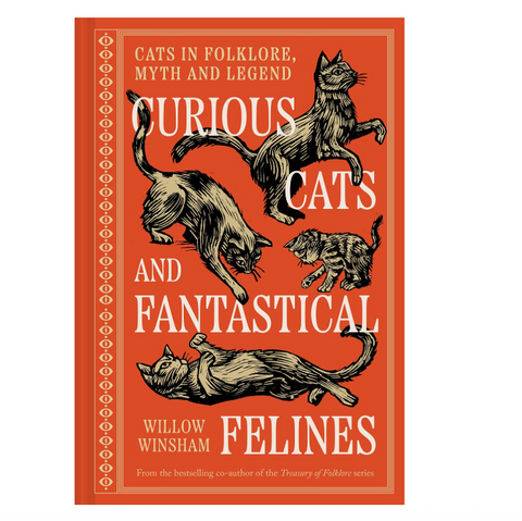 Curious Cats and Fantastical Felines