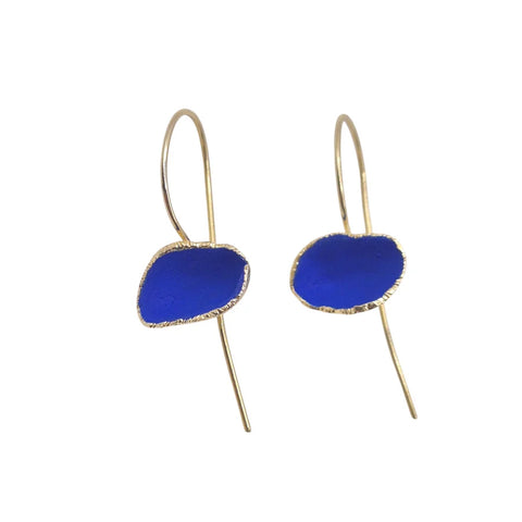Bronze & Blue Painted Organic Pod Hook Earrings