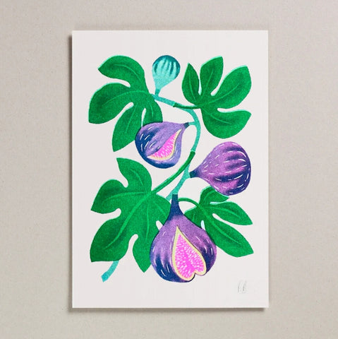 Fig Riso Print