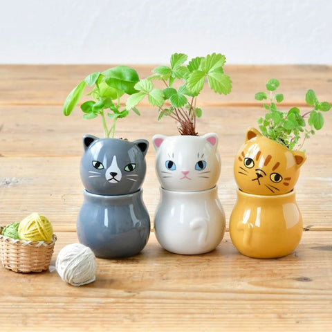 Corocoro Cats Plant Growing Kit (3 Asstd Designs)