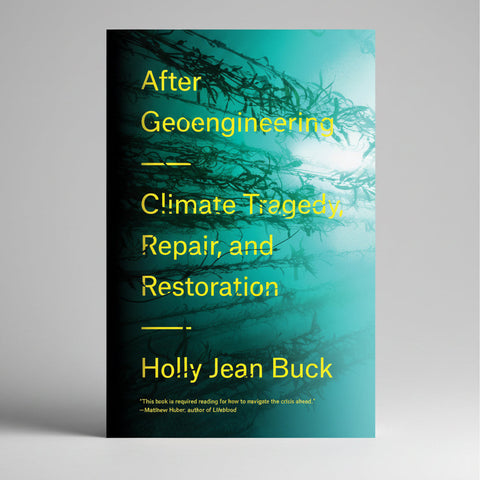 After Geoengineering