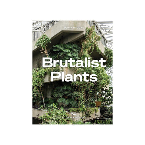 Brutalist Plants