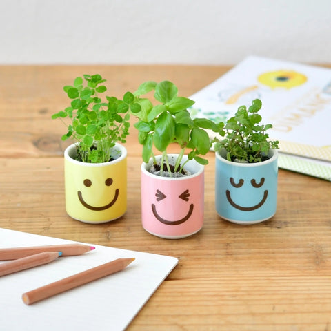 Happy Plants Growing Kit (Asstd Designs)