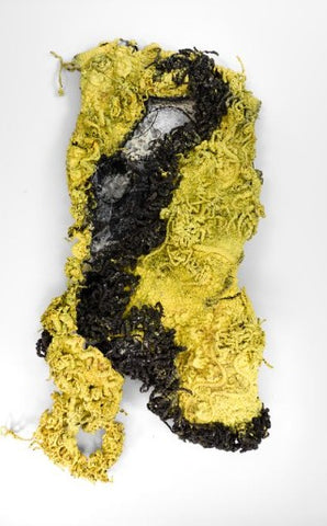 Dirty Looks A3 Mounted Print Physarum Lab D'Angelo