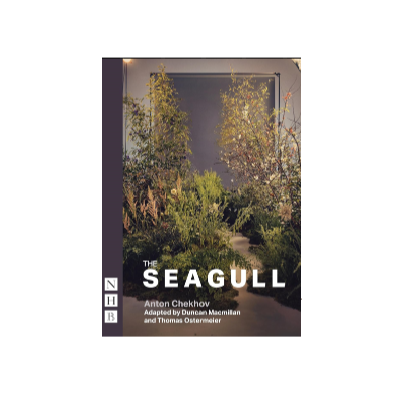 The Seagull Playtext